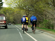 Description: Picture of bicyclists riding on Route 1A.