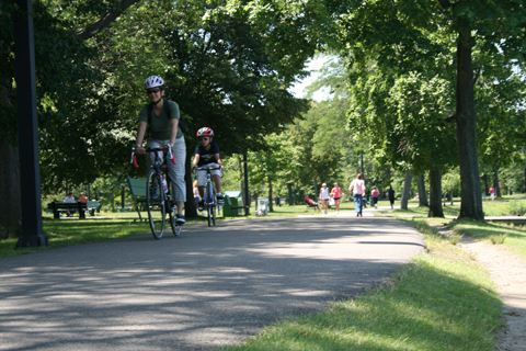 Description: Picture of bicyclists and pedestrians.