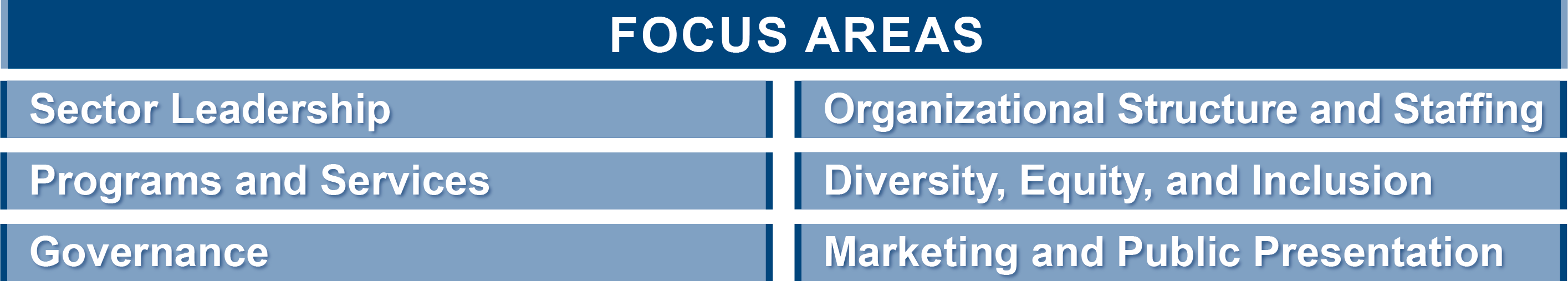 Focus areas listed in following text